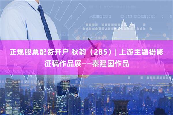 正规股票配资开户 秋韵（285）| 上游主题摄影征稿作品展——秦建国作品