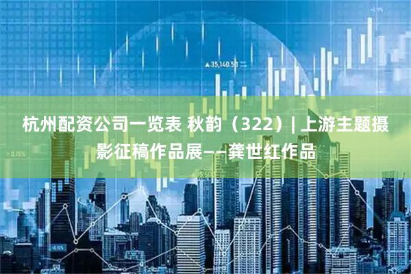 杭州配资公司一览表 秋韵（322）| 上游主题摄影征稿作品展——龚世红作品
